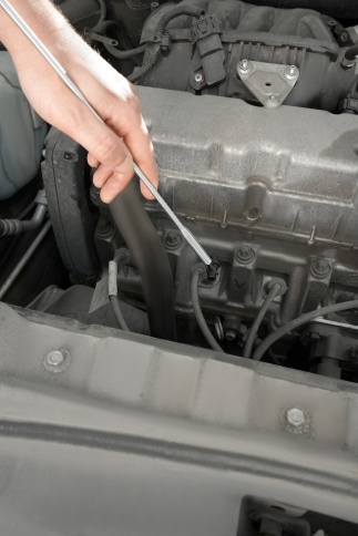 Захват четырехлапый L-600мм, AVS PD-600 фото 6