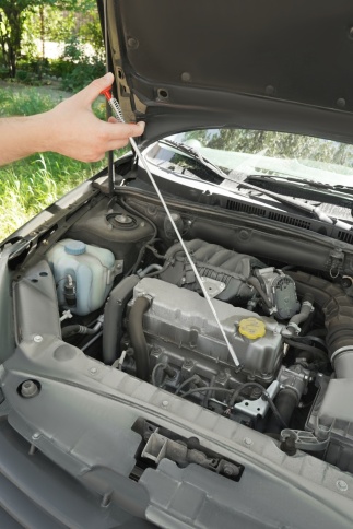 Захват четырехлапый L-600мм, AVS PD-600 фото 7