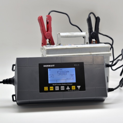 Зарядное устройство BERKUT Specialist BCA-25 фото 4