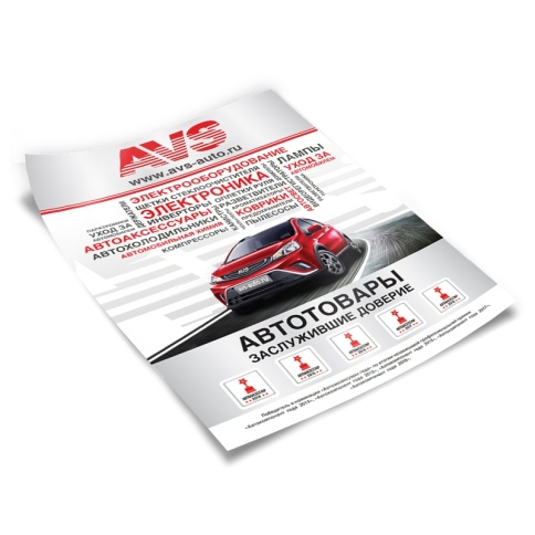 Плакат AVS общий А3 фото 1